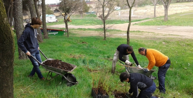 voluntarios-siembran