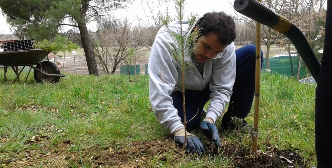 voluntarios-siembran (3)